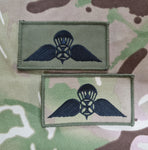 Georgia Republic paratrooper parachutist qualification jump wings Badge / Patch