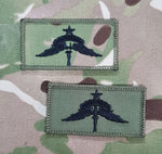USA American Free Fall Airborne Parachutist Wings - Senior / Fortgeschrittene