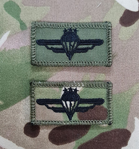 Latvia Parachutist Qualification Wings - basic