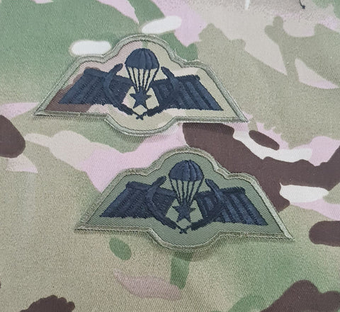 Netherlands / Dutch Airborne Parachutist Qualification Wings - A Wing with Combat Jump Wreath