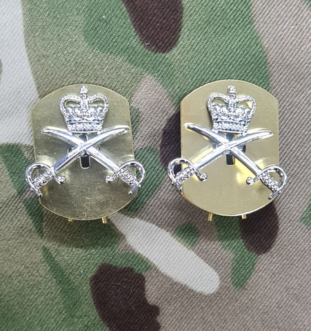 Royal Army Physical Training Corps RAPTC OR Kragenabzeichen