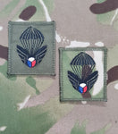 Newer Style Czech Republic Parachutist Qualification Jump Wings  Badge / Patch