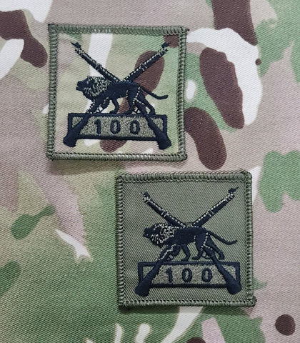 Bisley 100 Schießen Unterwürfiges Kampfqualifikationsabzeichen
