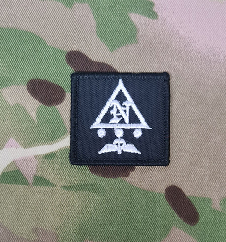 Para Wings / N Bty (Battery) The Eagle Troop 7 RHA Identification Patch
