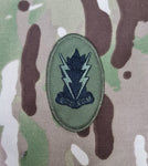 Subdued EOD ECM Subdued Qualification Badge