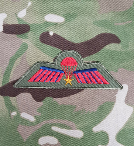 Netherlands / Dutch Airborne Parachutist Qualification Wings - Advanced / A Wing (Colour) (Netherlands Marine Corps)