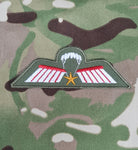 Netherlands / Dutch Airborne Parachutist Qualification Wings - Brevet / C Wing (Colour)