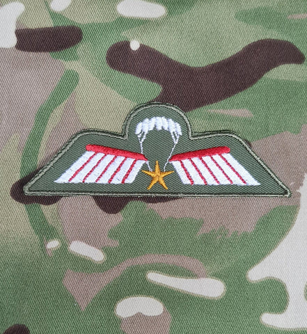 Netherlands / Dutch Airborne Parachutist Qualification Wings - Brevet / C Wing (Colour)