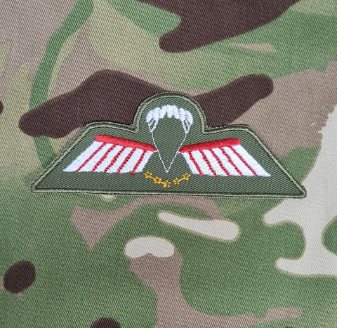 Netherlands / Dutch Airborne Parachutist Qualification Wings - Brevet / D Wing (Colour) (HALO/HAHO)