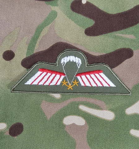 Netherlands / Dutch Airborne Parachutist Qualification Wings - Brevet / C-Ops Wing (Colour)