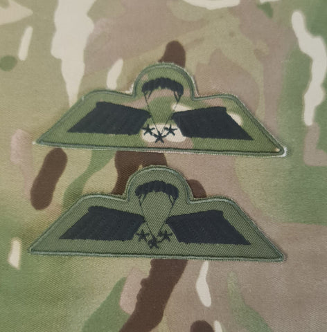 Netherlands / Dutch Airborne Parachutist Qualification Wings - Brevet / C-Ops Wing (Subdued - Olive / MTP)