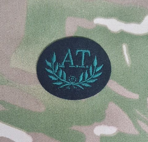 AT Anti Tank - Nr. 2 Dress Qualification Badge / Patch (Royal Irish / RIR / Rangers)