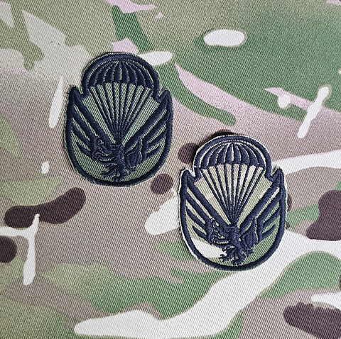 post 2020 Czech Republic (Czech) Rapid Deployment Brigade (brigáda rychlého nasazení) Parachutist Qualification Jump Wing badge patch