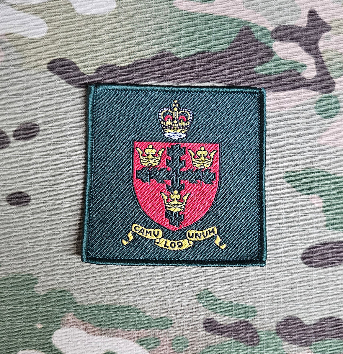 Military Tactical TRF Patch Rank Slide Regiment Badge British Army Morale UK - Foto 2