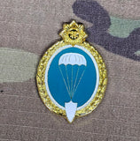 Uruguay Parachutist / Paratrooper Jump Wings Metal badge / brooch