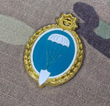 Uruguay Parachutist / Paratrooper Jump Wings Metal badge / brooch