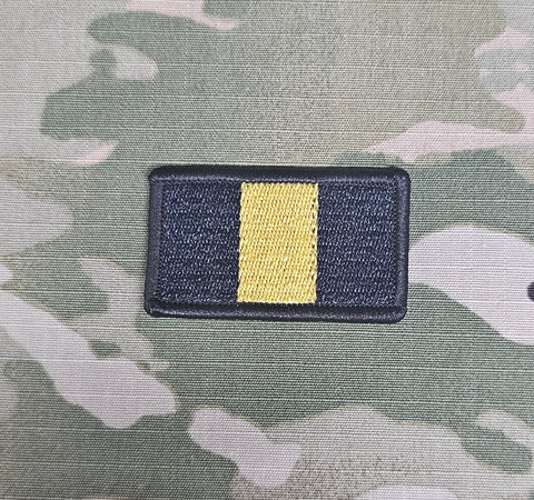 21 Signal Regiment / Formation Gewebtes Abzeichen (Subdued)