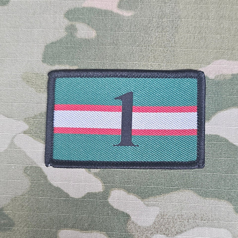 21 Signal Regiment / Formation Gewebtes Abzeichen (Subdued)