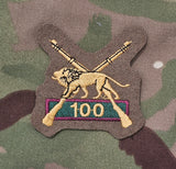 Army Rifle Association (ARA) / Army Operational Shooting Competition (AOSC) / Bisley 100 Shooting Nr. 2 Dress Badge