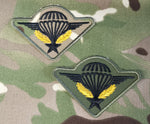 Insigne de l'escadre de parachutistes aéroportés de la Légion (mtp / olive)