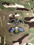 Parachute Instructor APJI Wings