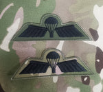 Netherlands / Dutch Airborne Parachutist Qualification Wings - Basic / B Wing  Badge / Patch