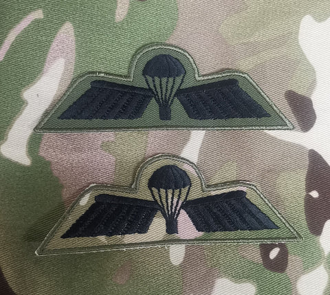 Netherlands / Dutch Airborne Parachutist Qualification Wings - Basic / B Wing  Badge / Patch