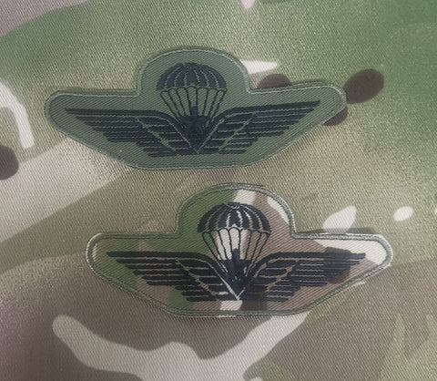 Italienische / italienische Luftlande-Fallschirmspringergeschwader - Fortgeschrittene