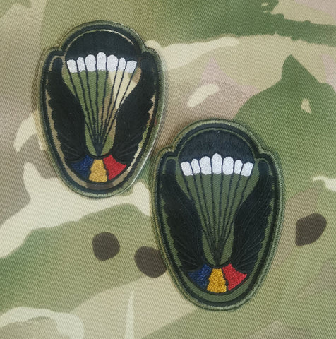 Romania / Romanian Airborne Parachutist Qualification Wings Cloth Badge / Patch