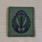 Romania / Romanian Airborne Parachutist Qualification Wings Cloth - Variation batalionul 495 parasutisti Badge / Patch