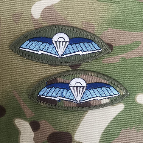 Farbe 18 Signal Regiment / Communicator Wings SFC