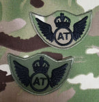 AT Flugzeugtechniker REME Wings Subdued (C3R)