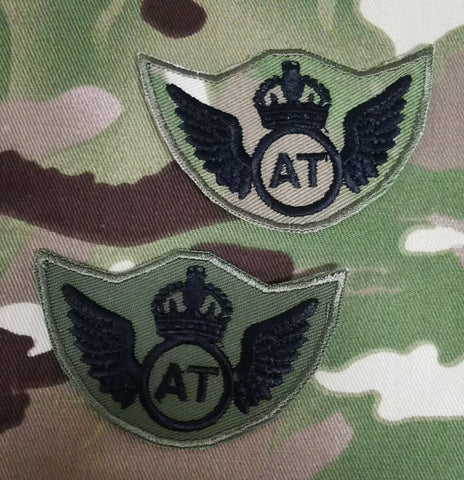 AT Flugzeugtechniker REME Wings Subdued (C3R)