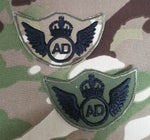 Luftwaffengeschwader unter Kontrolle (C3R)