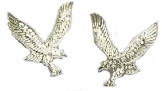 Army Air Corps AAC Other Ranks Collar Badge – Badge Workshop