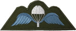Belgien Subded Stoff Jump Wings
