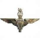 Parachute Regiment Cap / beret Badge (EIIR)