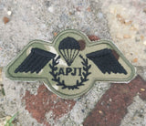 Fallschirmlehrer APJI Wings