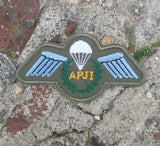 Fallschirmlehrer APJI Wings