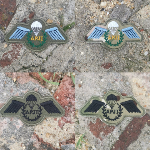 Fallschirmlehrer APJI Wings